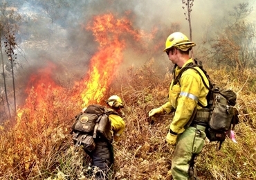 Firefighters fight a wildland fire