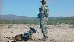 Photo of a U.S. Border Patrol agent and his dog partner at the southern border. 