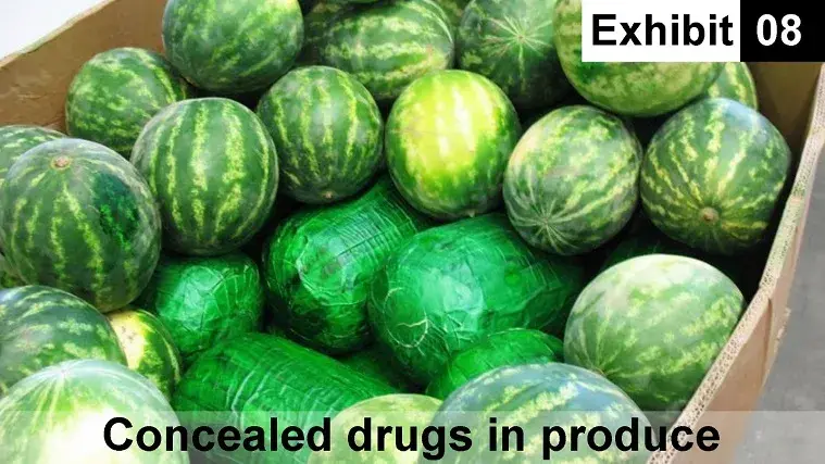 Exhibit 08: Concealed drugs in produce