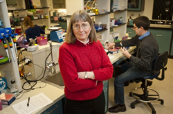 Dr. June Medford in her lab at Colorado State University.