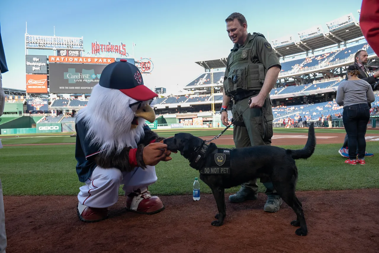 Image: DHS Night at the Nationals (9)