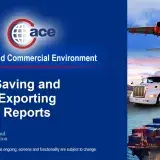 Image: ACE Reports: Saving and Exporting Reports