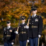 Image: Soldiers Stand at the National Veterans Day Observance