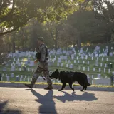Image: Soldier walks K-9 in Arlington National Cemetery