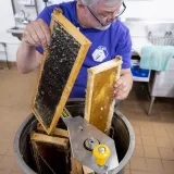 Image: DHS Employees Extract Honey From Bees on Campus (053)