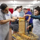 Image: DHS Employees Extract Honey From Bees on Campus (060)