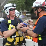 Image: FEMA's Urban Search and Rescue Nebraska Task Force One (NE-TF1) rescue a pet