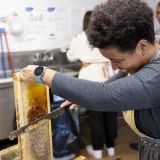Image: DHS Employees Extract Honey From Bees on Campus (002)