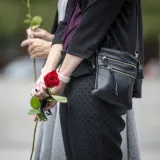Image: People Holding Red Roses in Their Hands