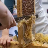 Image: DHS Employees Extract Honey From Bees on Campus (070)