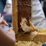 Image: DHS Employees Extract Honey From Bees on Campus (071)