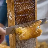 Image: DHS Employees Extract Honey From Bees on Campus (066)