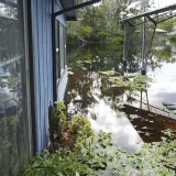 Image: Home Flooded from Hurricane Ian