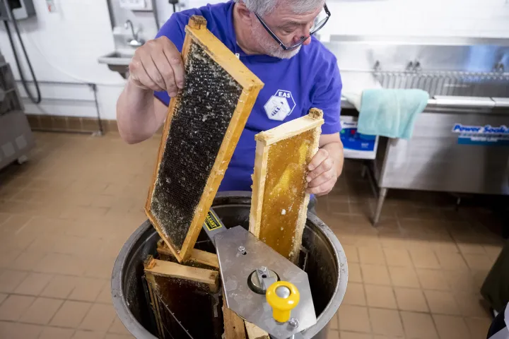 Image: DHS Employees Extract Honey From Bees on Campus (053)