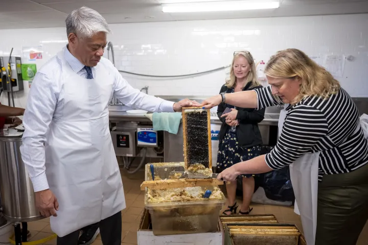 Image: DHS Employees Extract Honey From Bees on Campus (042)