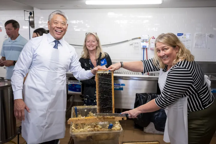 Image: DHS Employees Extract Honey From Bees on Campus (043)