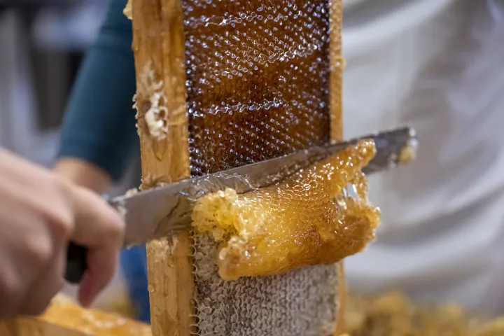 Image: DHS Employees Extract Honey From Bees on Campus (066)