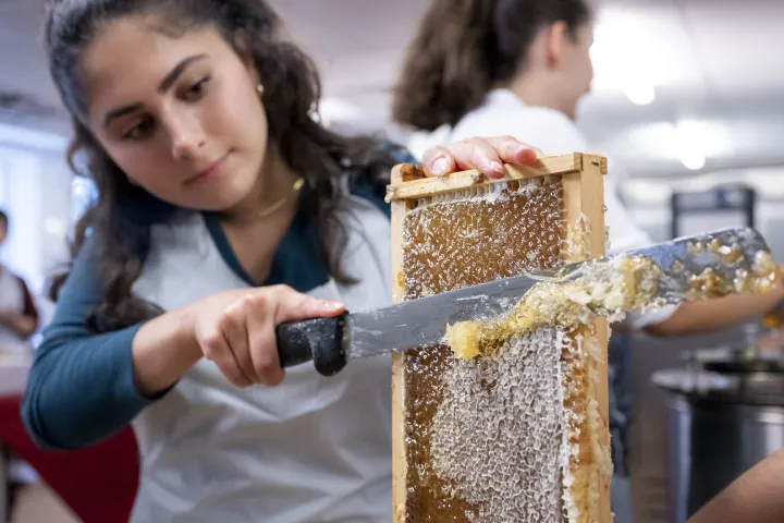 Image: DHS Employees Extract Honey From Bees on Campus (068)