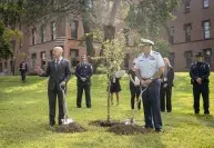 Cover photo for the collection "DHS Secretary Alejandro Mayorkas Participates in 9/11 Tree Planting Ceremony"