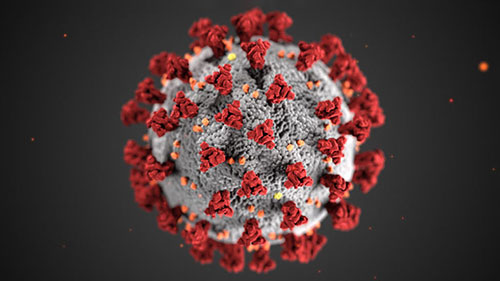 Coronavirus News & Updates | Homeland Security