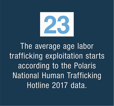 23 years old is the average age labor trafficking exploitation starts according to the Polaris National Human Trafficking Hotline 2017 data.
