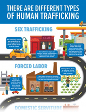 What is Human Trafficking? Infographic