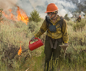 A first responder is shown in the foreground wearing a chest-mounted system with a wildfire scenario in the background