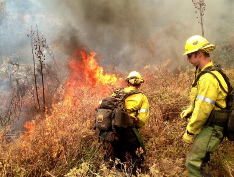 Two firefighters battling a wildland fire.