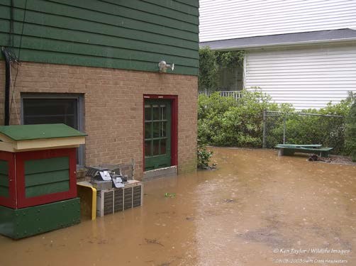 Flood plank placed in doorway protects the building in a North Carolina flood.