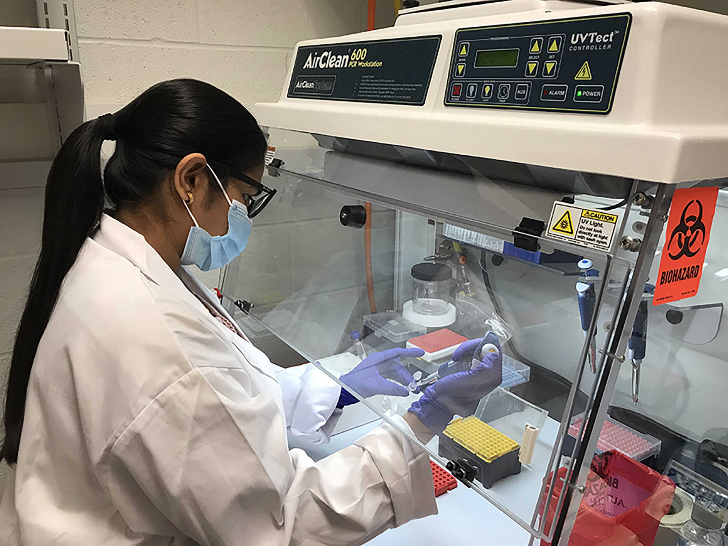 Scientist in a lab prepares under a hood samples for DNA sequencing test.