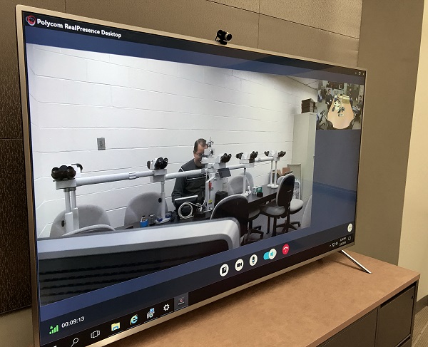 Videoconferencing from a lab between a veterinary researcher in his lab and a conference room full of scientists shown in the upper right corner of the monitor.