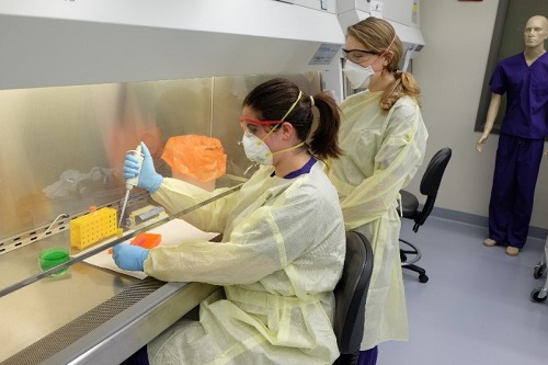 Laura Constance and Rachel Palinski practice an exercise in the teaching laboratory at the Biosecurity Research Institute at Kansas State University. Photo by Joe Montgomery.