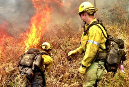 Firefighters attempt to put out a Wildland Fire 