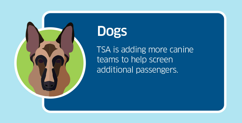 Dogs: TSA is adding more canine teams to help screen additional passengers.