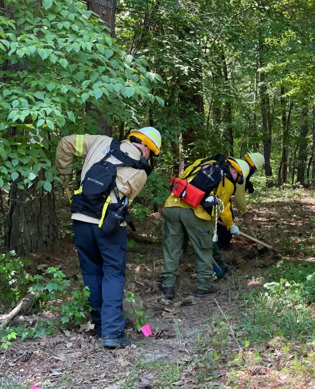 Three firefighters in full protective gear and wearing the WFFR bent over digging at a path in a forest with picks and shovels in a dense fully leafed forest.