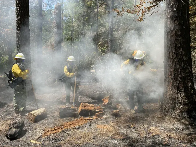 Three firefighters in full protective gear and wearing the WFFR stand in a charred forest area as smoke drifts around them.