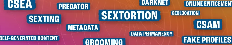 Key terms, such as "sextortion" and "grooming," floating on a spider web