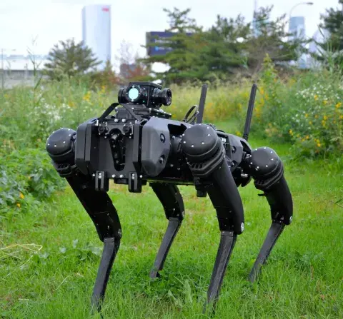 : A black 4-legged metallic robot dogs stands in green grass near flowery shrubs, bushes and trees. On the robot dog’s back is a payload that appears to have multiple lenses pointing in different directions.