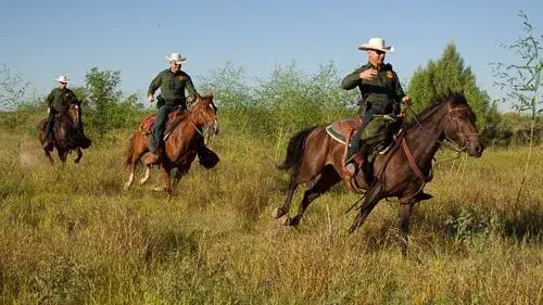 Customs and Border Protectin officers on horseback