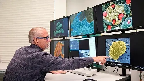 NBACC scientist using a scanning electron microscope points out a digital micrograph of Ebola virus coming out of a cell.