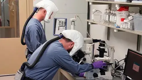 NBACC scientists working in Biosafety Level 3 containment examine cells with a microscope to detect infection at a cellular level.