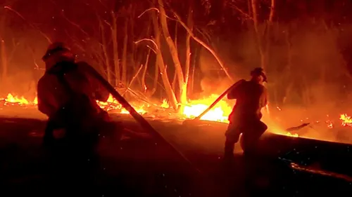 Firefighters attempting to put out a wildfire