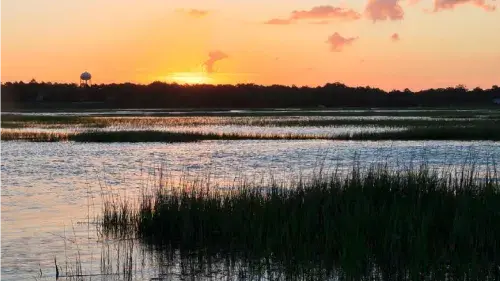 Marsh with the sun setting the horizon 