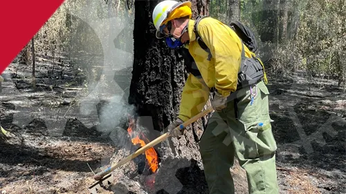 Wildlife firefighter putting out a fire in the forest