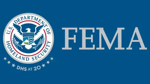 Horizontal FEMA wordmark/lockup in gray with "DHS at 20" below the DHS seal