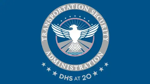 TSA logo with "DHS at 20" below the TSA logo in gray