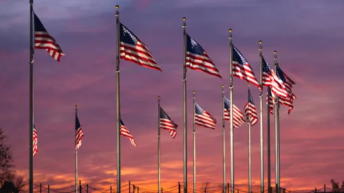 A group of United States flags flown in Washington, D.C. at sunset.