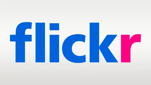 Flicker Icon