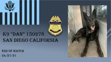 In Memoriam photo of K9 Dan 150278, San Diego California, End of Watch 04/27/2021, CBP, Office of Field Operations