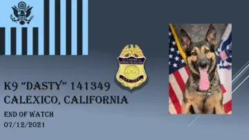 In Memoriam photo of K9 Dasty, 141349, Calexico, California, End of Watch 07/12/2021, CBP, Office of Field Operations